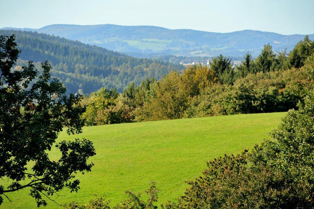 Apartman Na Bubnu Náchod Szoba fotó
